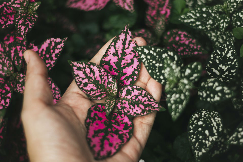 Parfum rechargeable : un geste pour l’environnement