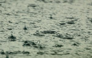 recuperateur eau pluie