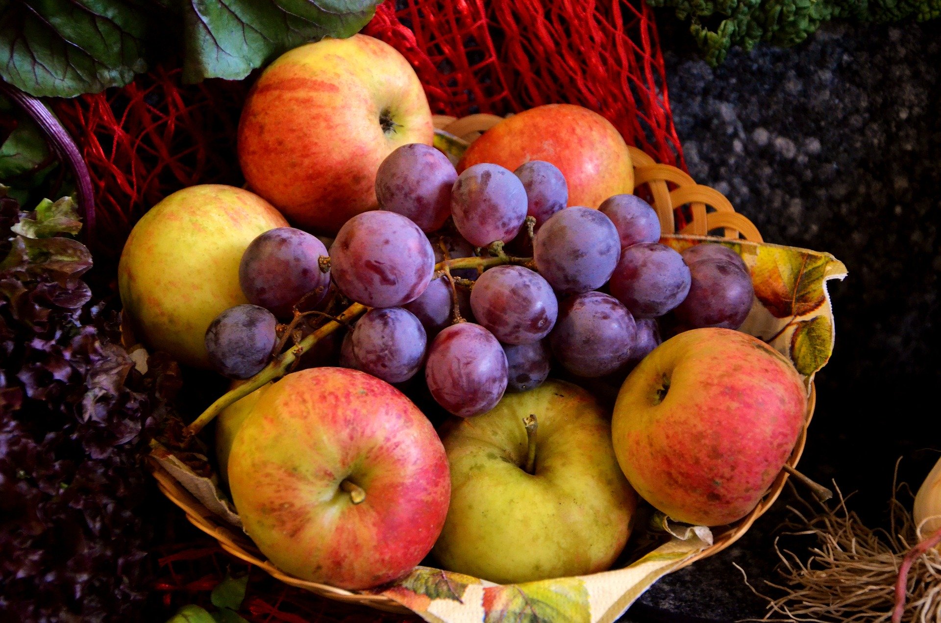 corbeille fruit