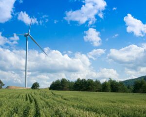 Eolienne dans un champ avec un ciel bleu