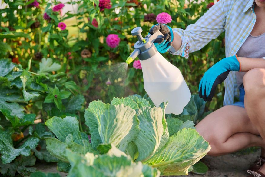 Fabriquer un désherbant naturel et bio : eau, vinaigre et sel