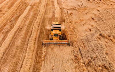 Les impacts de l’agriculture conventionnelle sur l’environnement et la santé