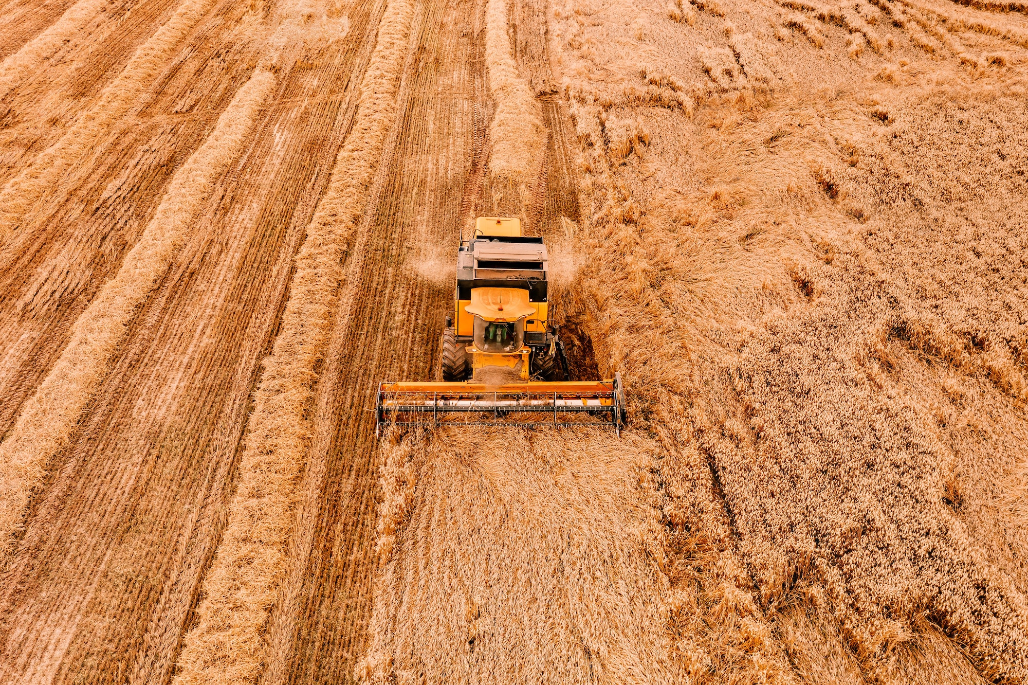 L'agriculture conventionnelle et son impact