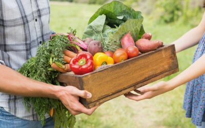 Comment réduire votre impact environnemental grâce à votre alimentation ?