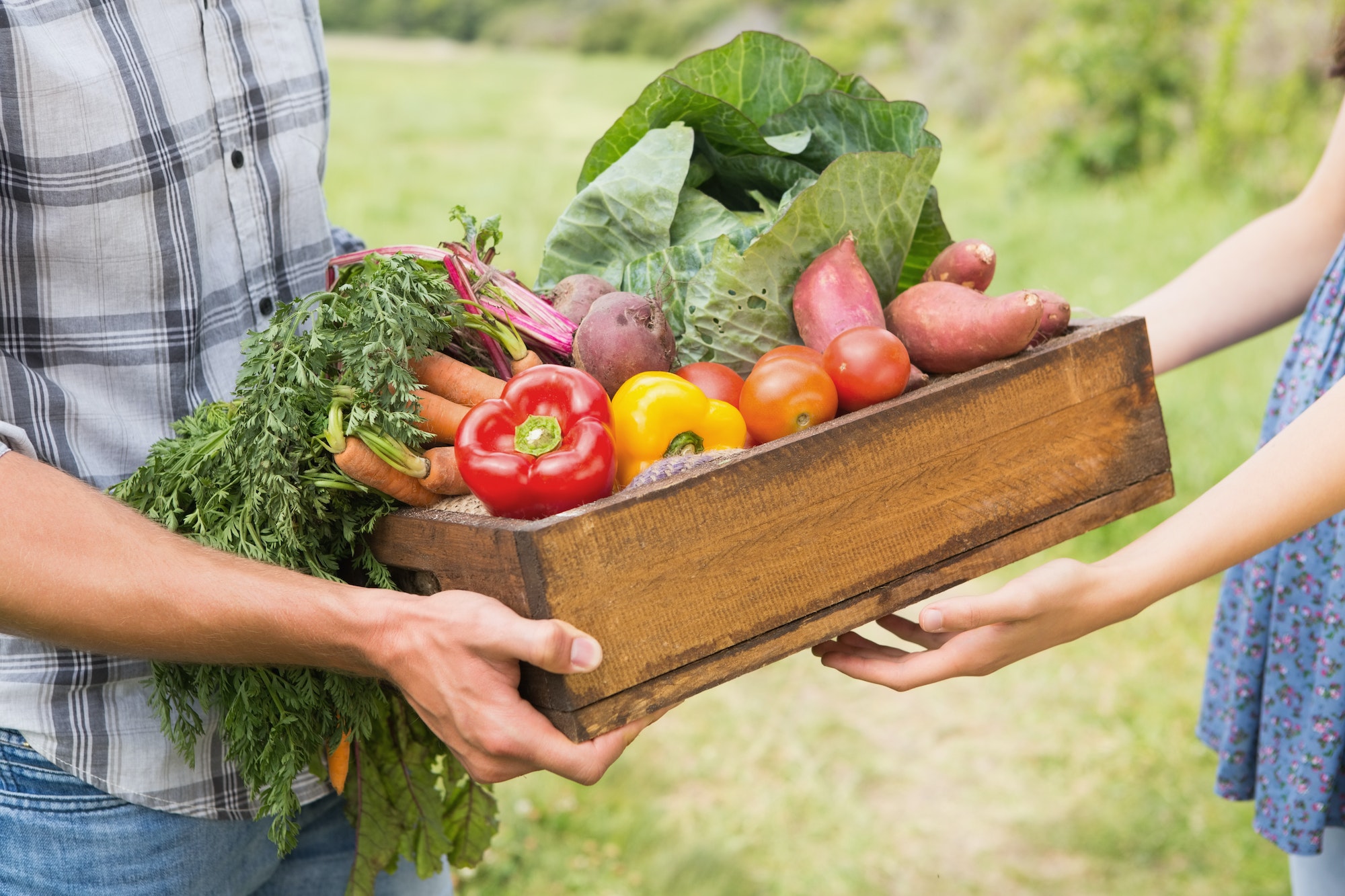 Réduire votre impact environnemental grâce à votre alimentation