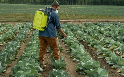 Les pesticide, quels dangers pour la santé ?