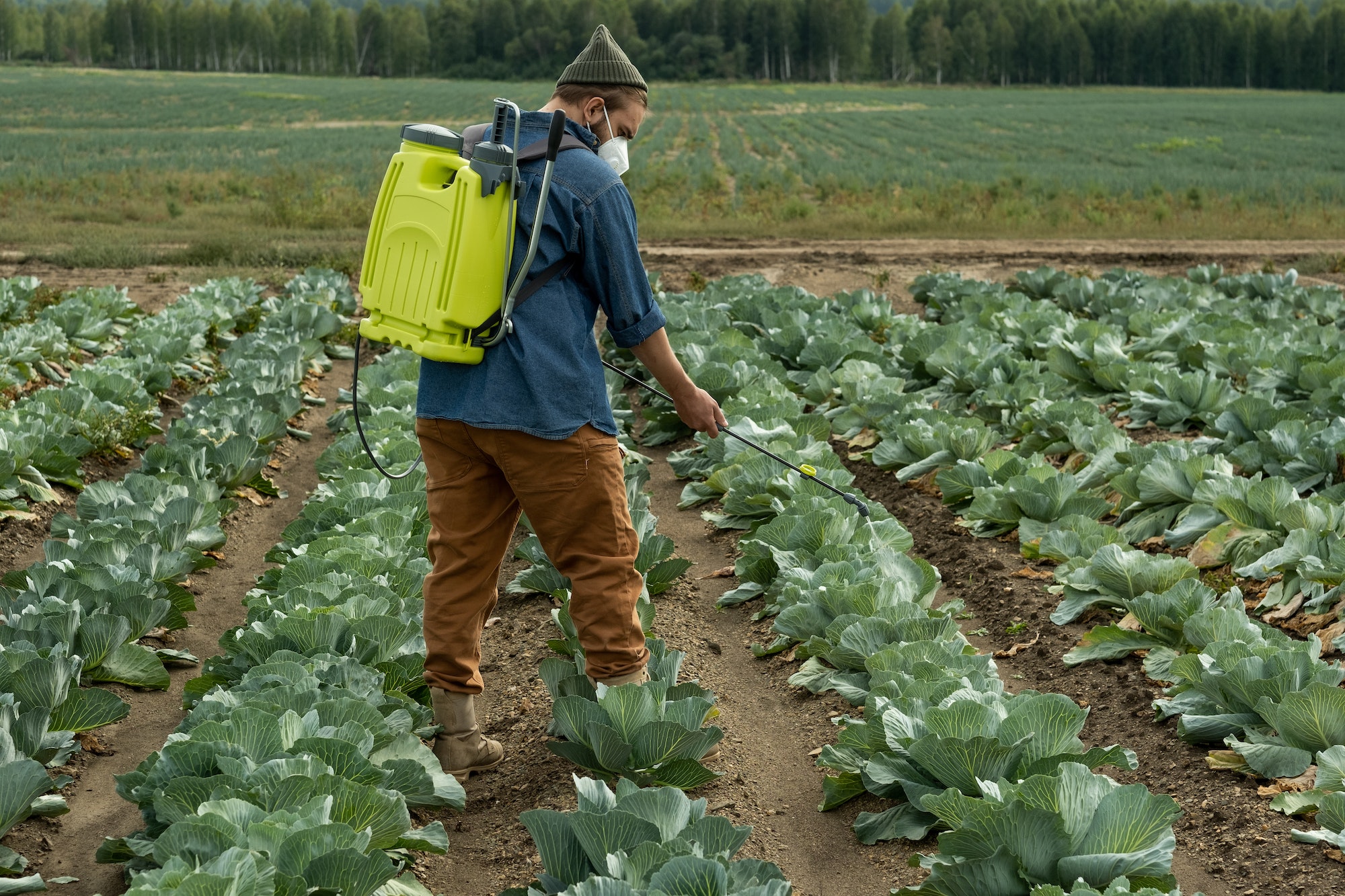 Quels sont les dangers des pesticides pour la santé ?