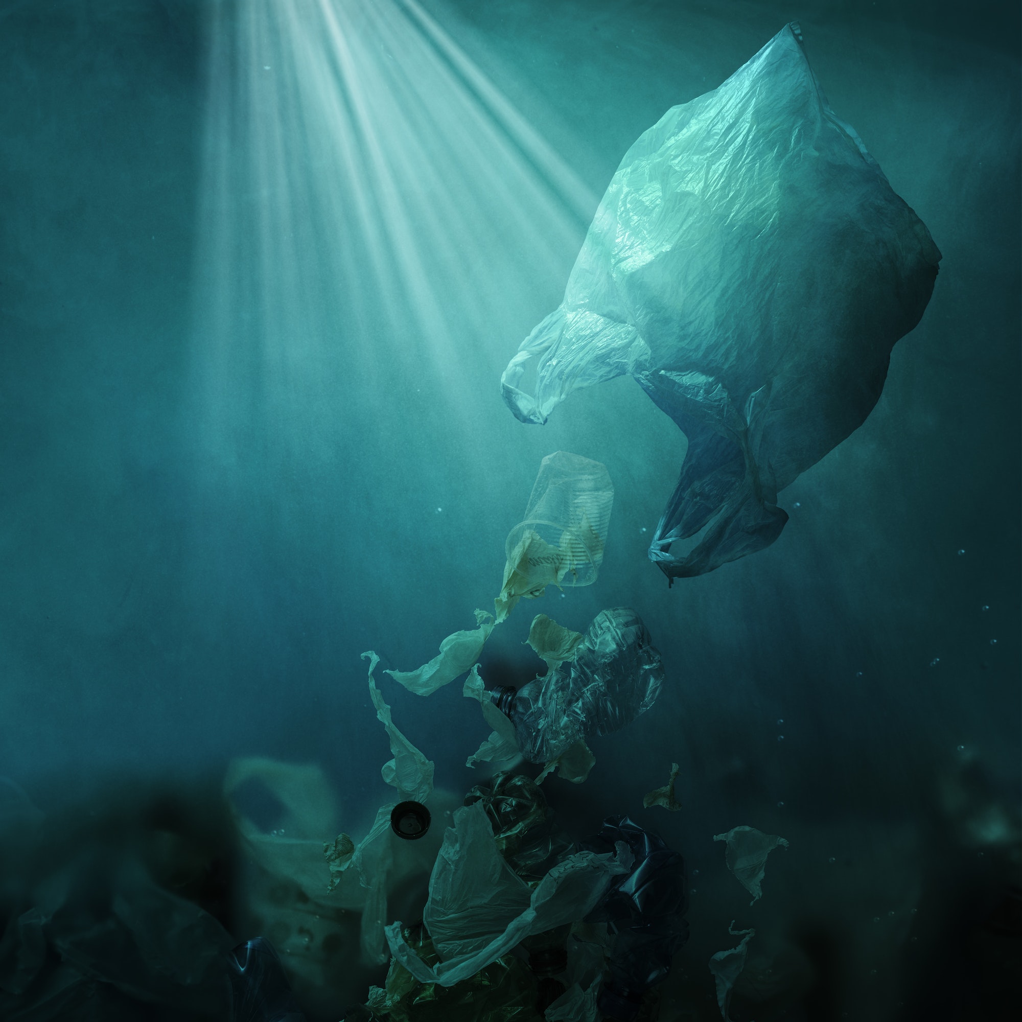 pollution plastique des océans