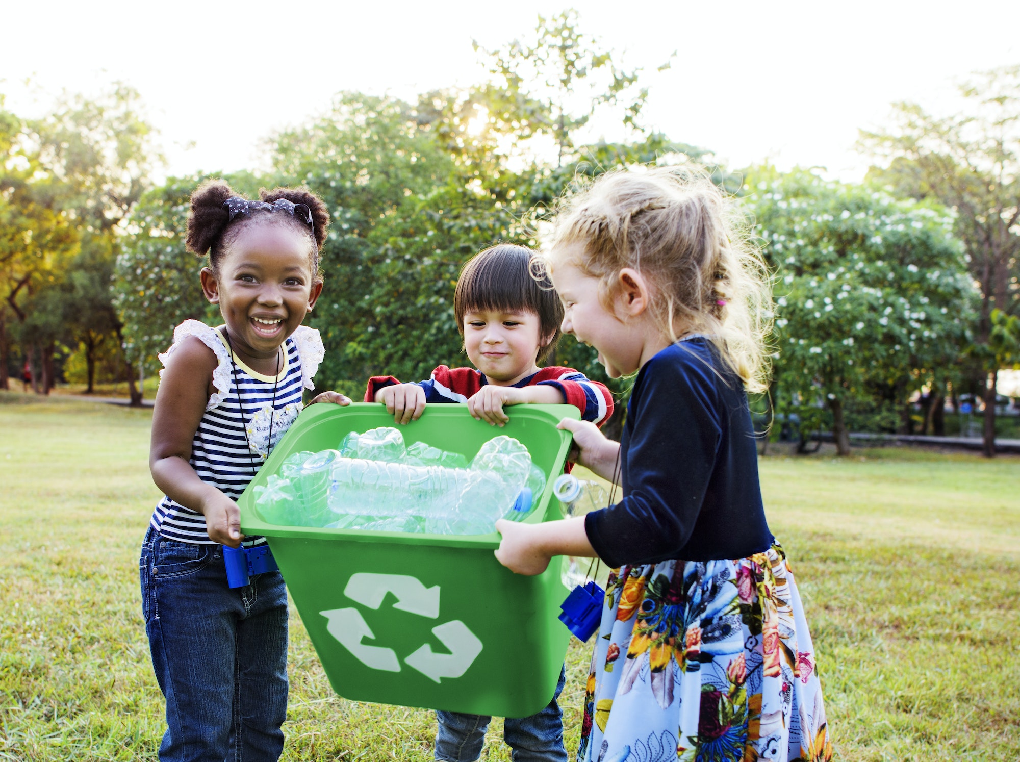 Les différentes initiatives citoyennes en faveur de l'environnement