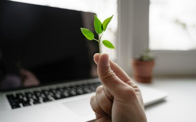 Les initiatives de grandes entreprises pour réduire leur empreinte carbone