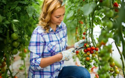 Les pratiques des éleveurs pour une production bio et locale respectueuse de la nature