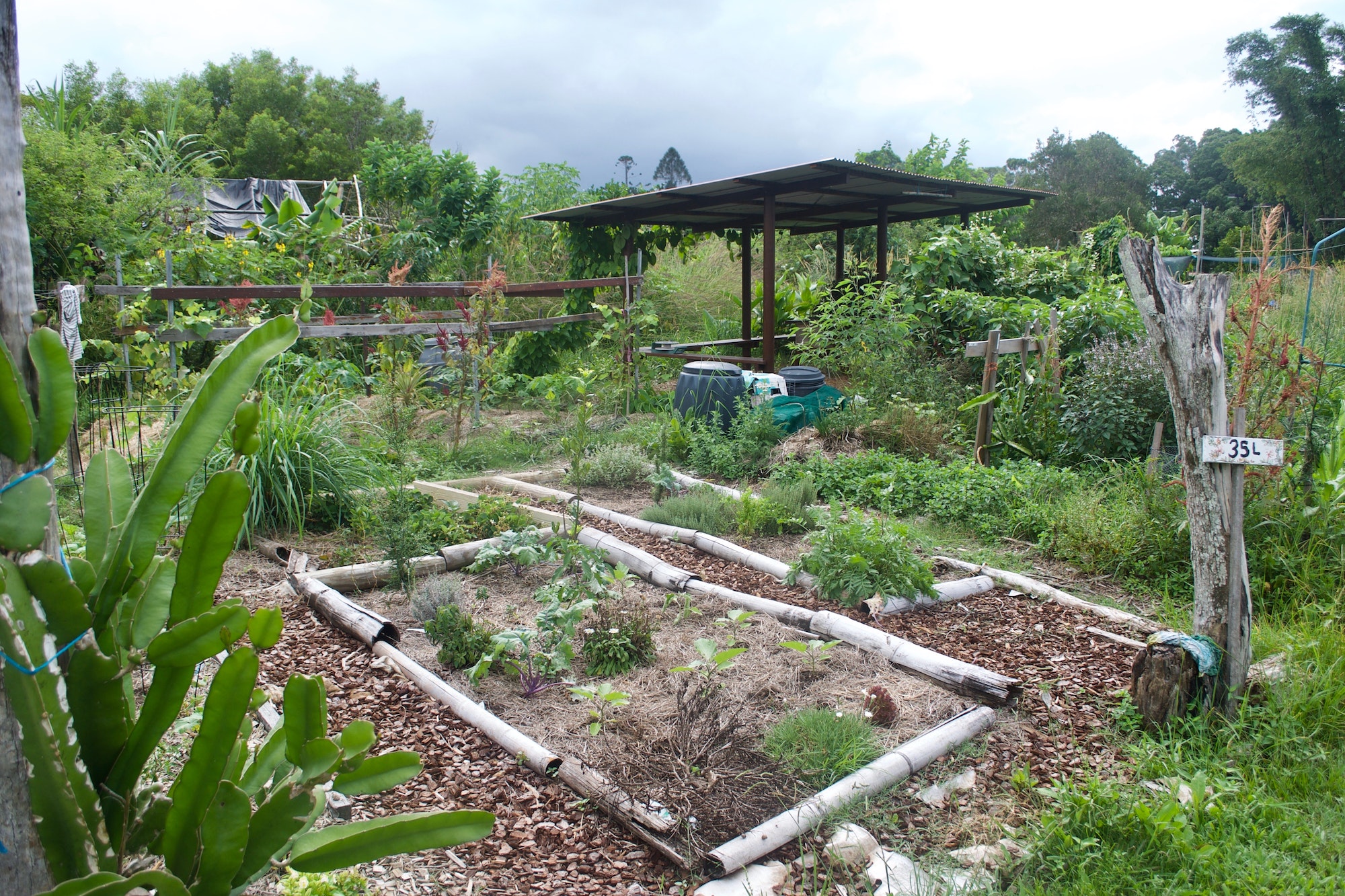 Méthode écologique : la permaculture