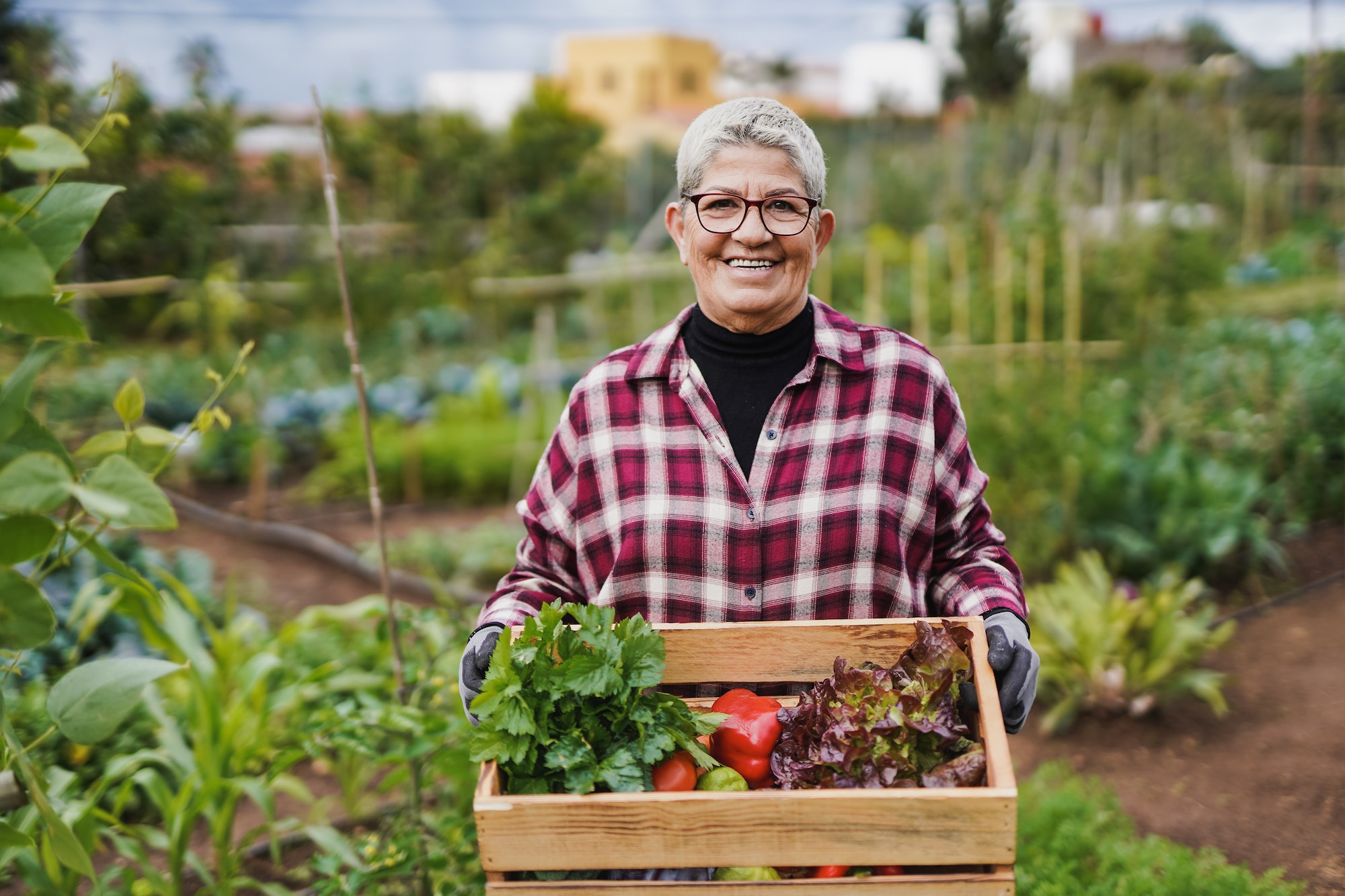 Agriculture biologique, bénéfique pour la biodiversité !