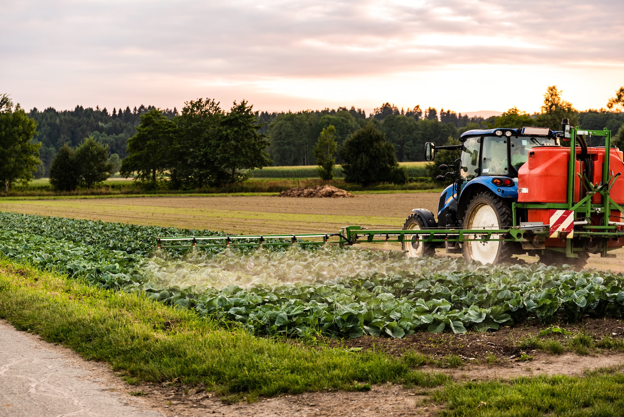 Les idées pour réduire l'utilisation de pesticides