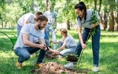 Le succès des éco-volontariats : des bénévoles au service de la nature