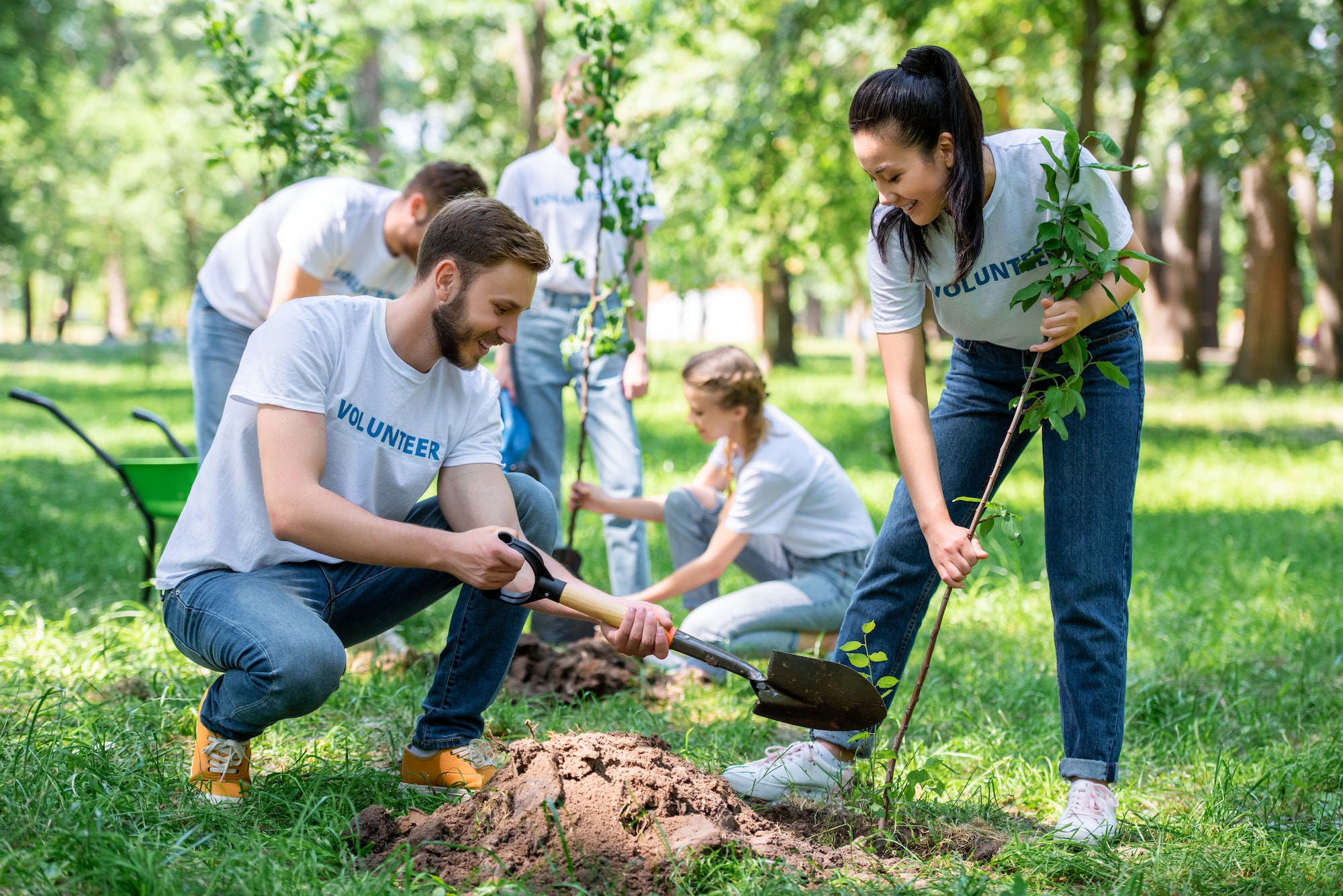 L'éco volontariat, des bénévoles au service de la nature