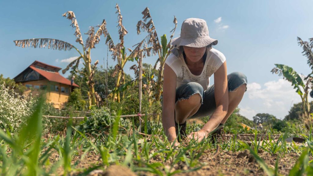 Femme qui s'occupe de son potager 