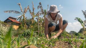 Femme qui s'occupe de son potager