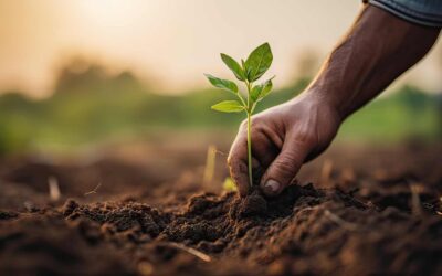 Bio et local, le duo gagnant pour une consommation responsable