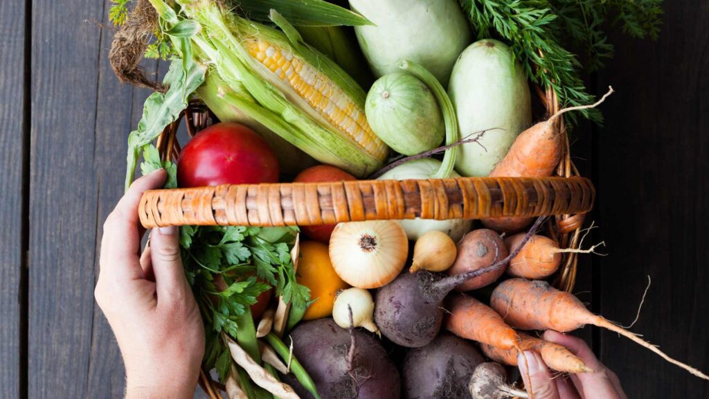 agriculture biologique