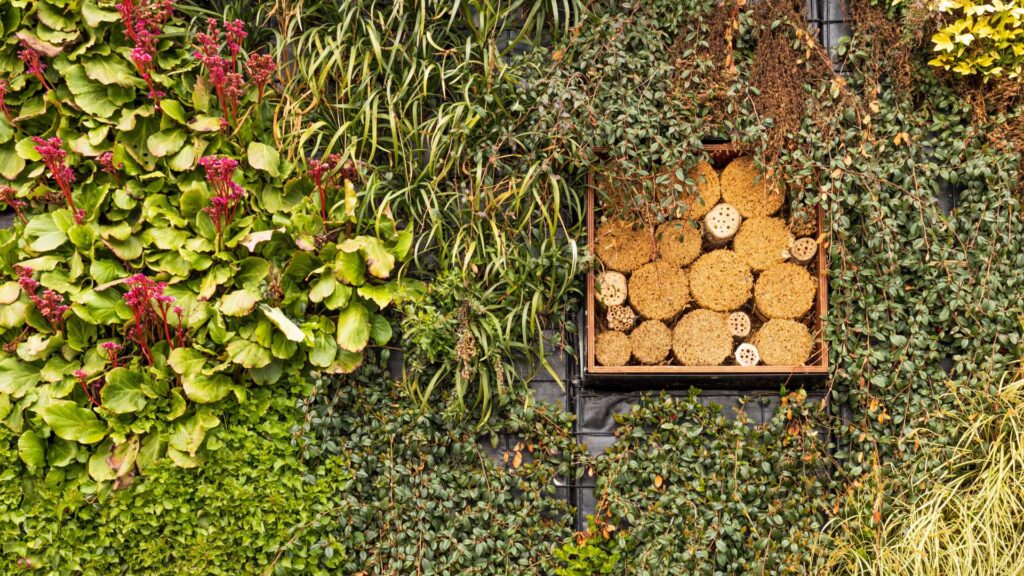 biodiversité dans un jardin