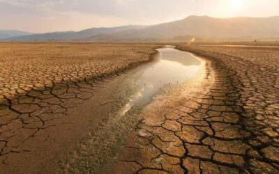 Les défis de la conservation de l’eau dans un monde en crise