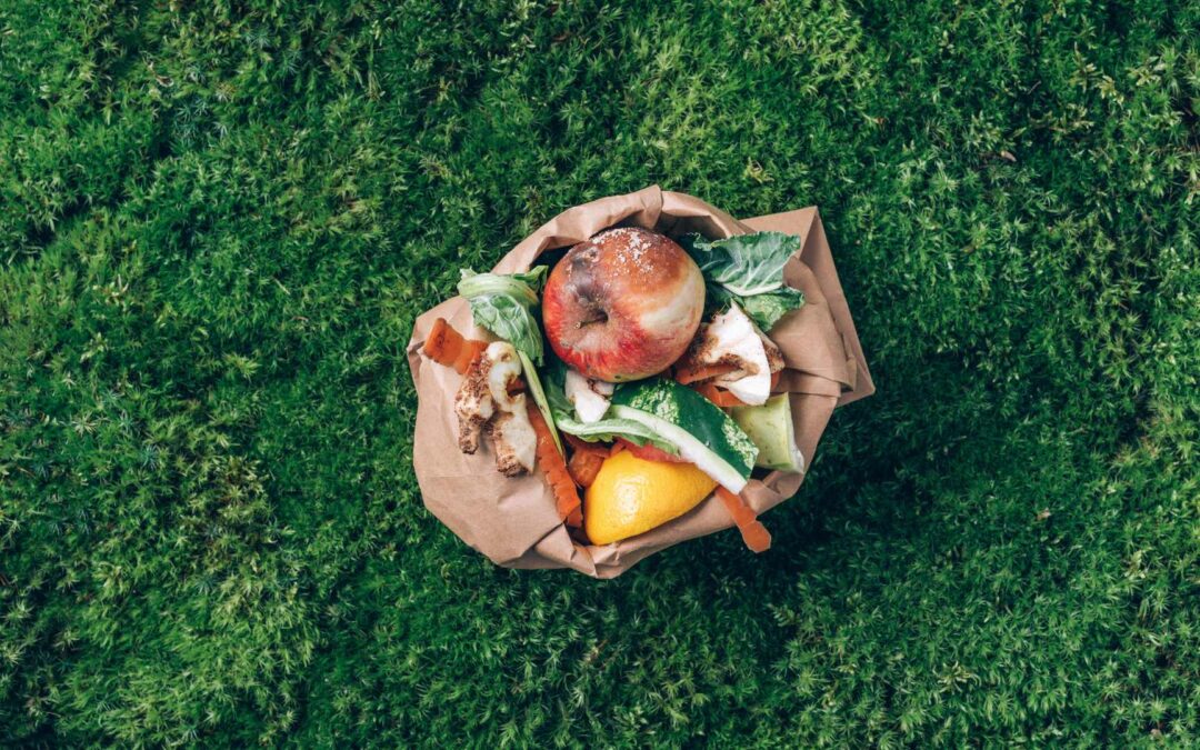 Le bio, un levier contre le gaspillage alimentaire