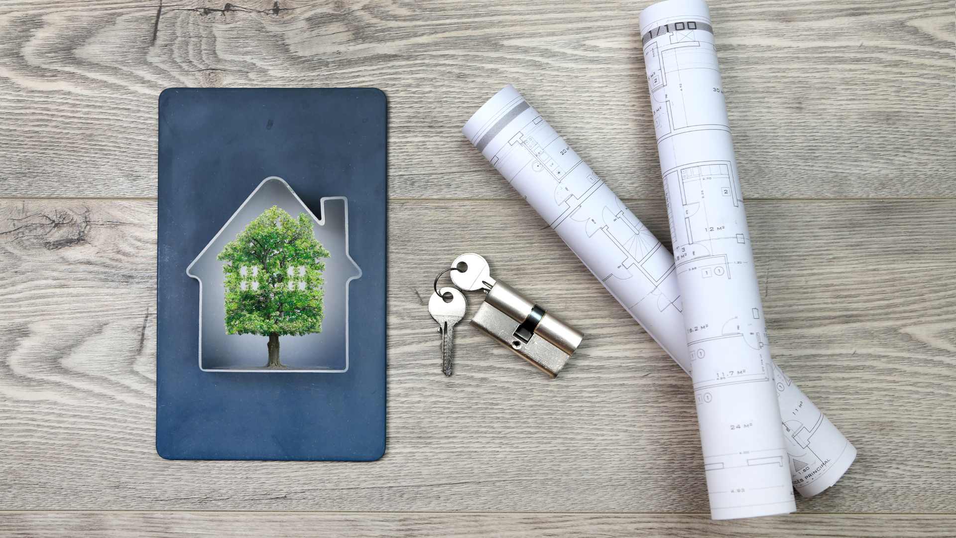 immobilier écologique représentation