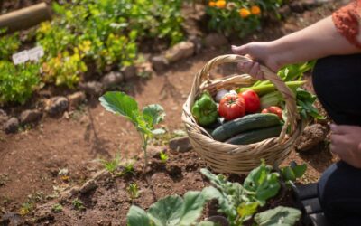 Le guide pour débuter dans le jardinage bio