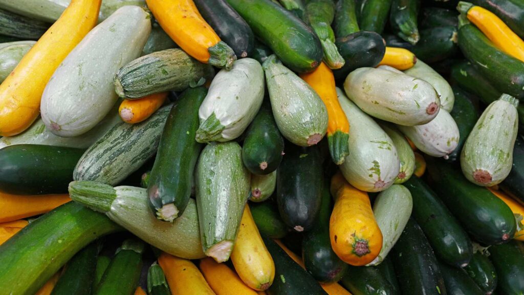 Courgette bio