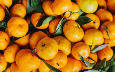 Les défis de la certification bio pour les petits producteurs