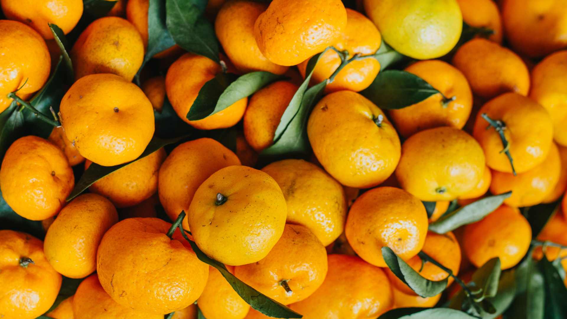 Orange bio