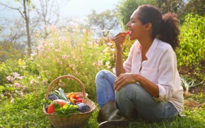 La permaculture, une solution pour l’agriculture de demain