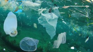 pollution plastique dans la mer