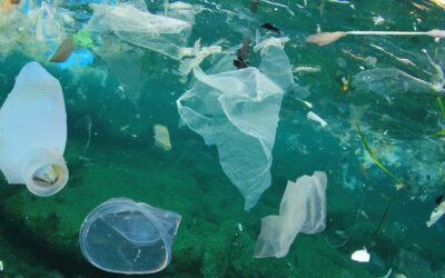 Comment réduire sa consommation de plastique au quotidien