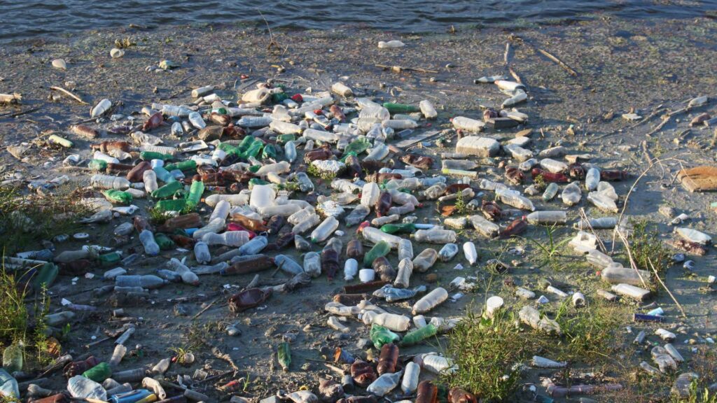 Pollution plastique océan