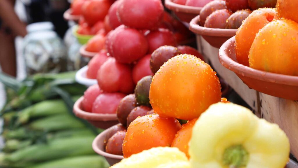 Fruit et légume bio