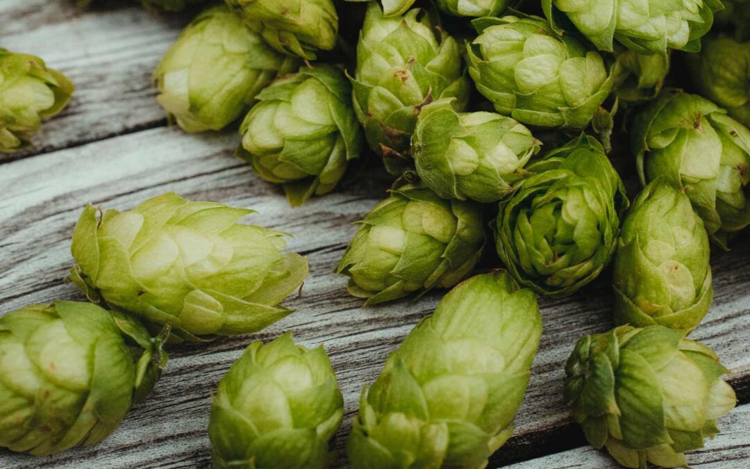 Les bienfaits des produits bio sur la santé et l&rsquo;environnement