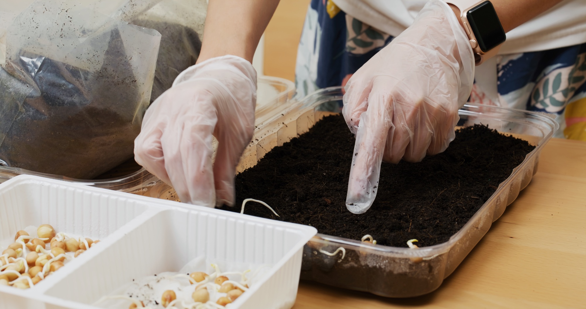 Home garden for seed planting vegetable at home