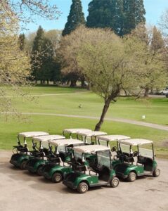 voiturette golf batterie lithium